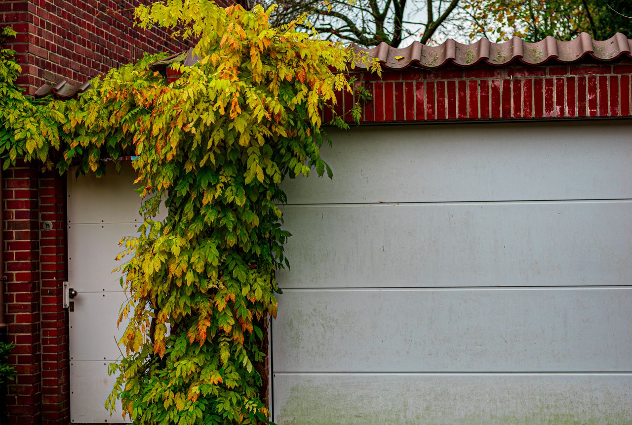 Garage door service in Florissant, MO